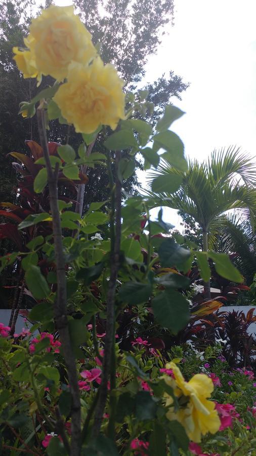 Sun Suites Cozumel Eksteriør billede